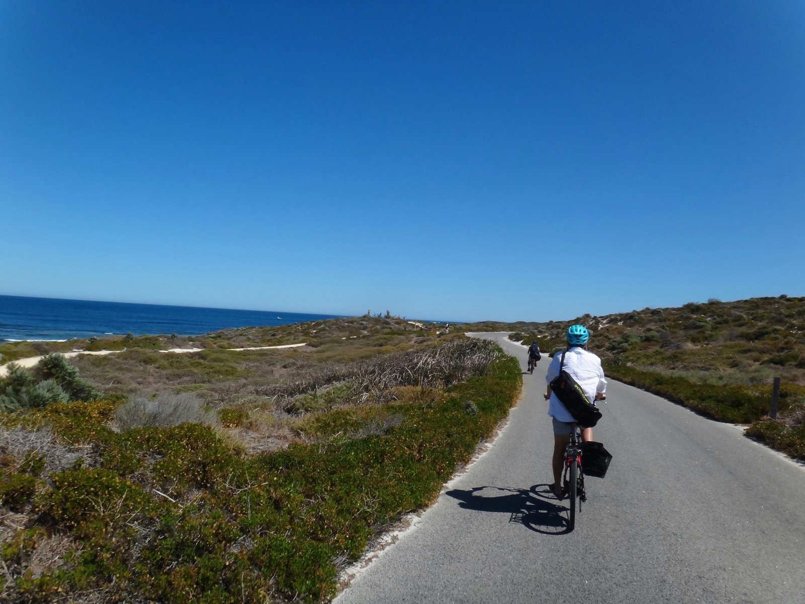 A family enjoying group cycling on a coastal trail