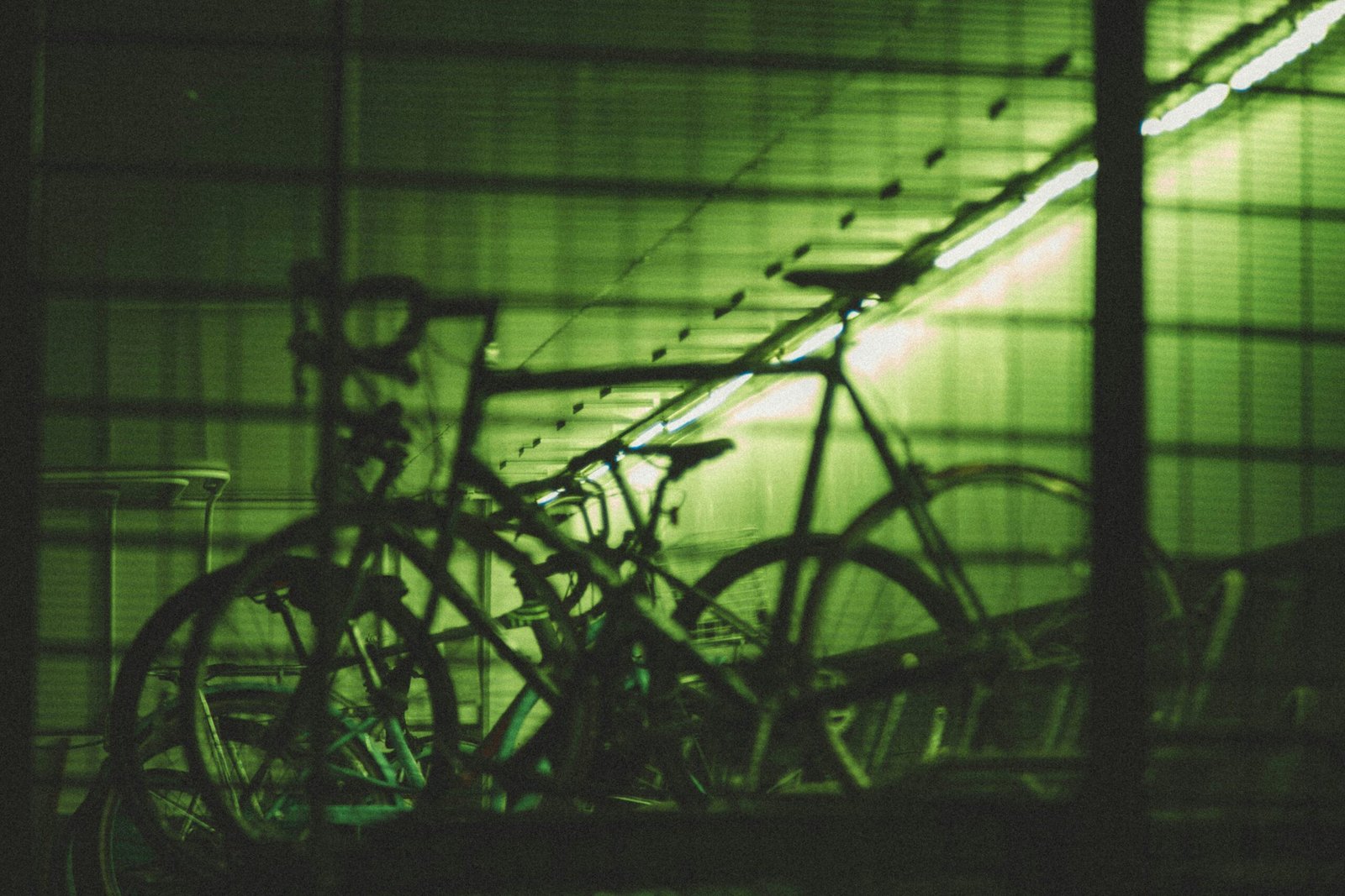 Spin Bike Workout for Weight Loss: How to Crush Your Fitness Goals