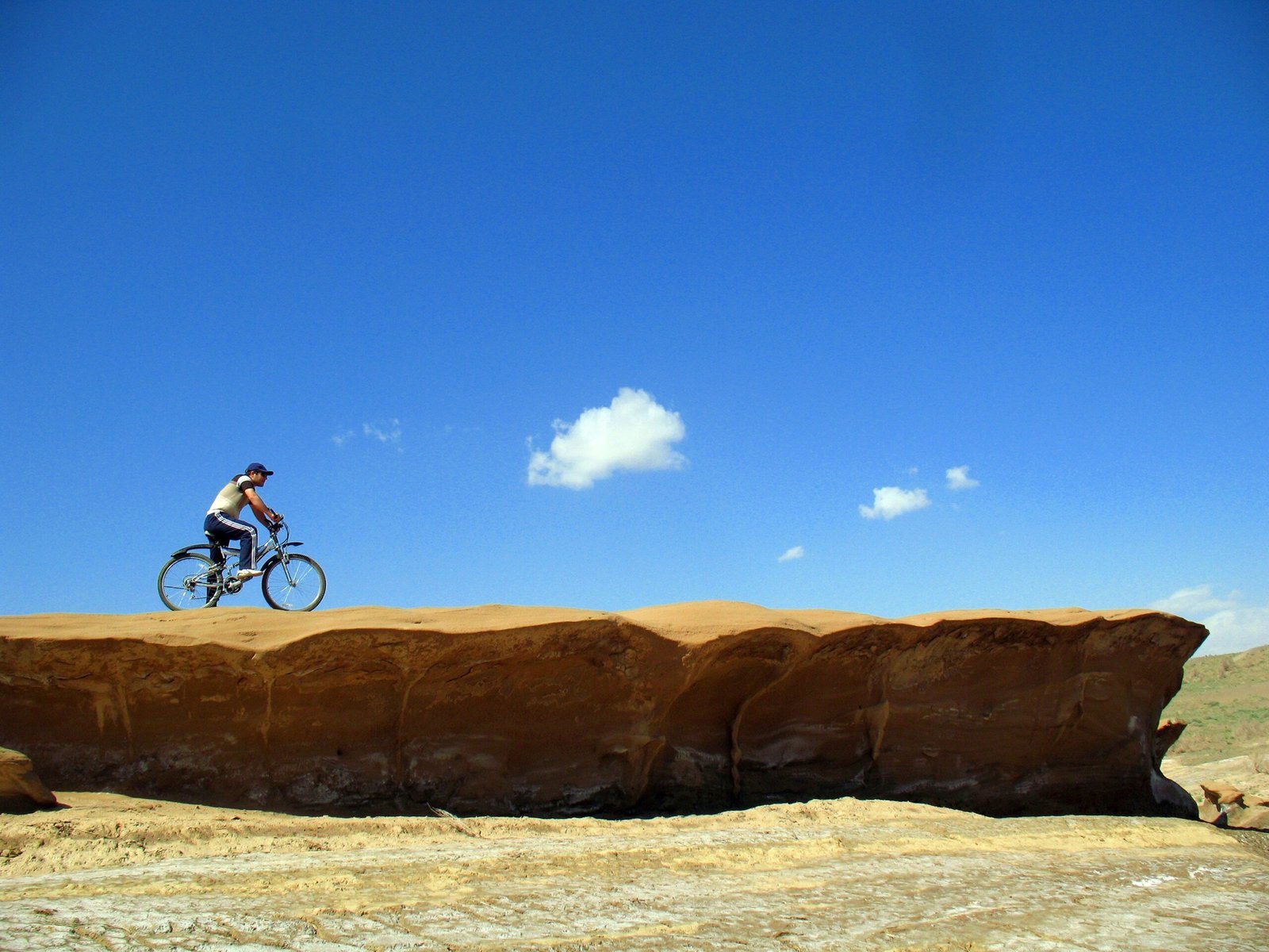 A group of friends biking together on a sunny day