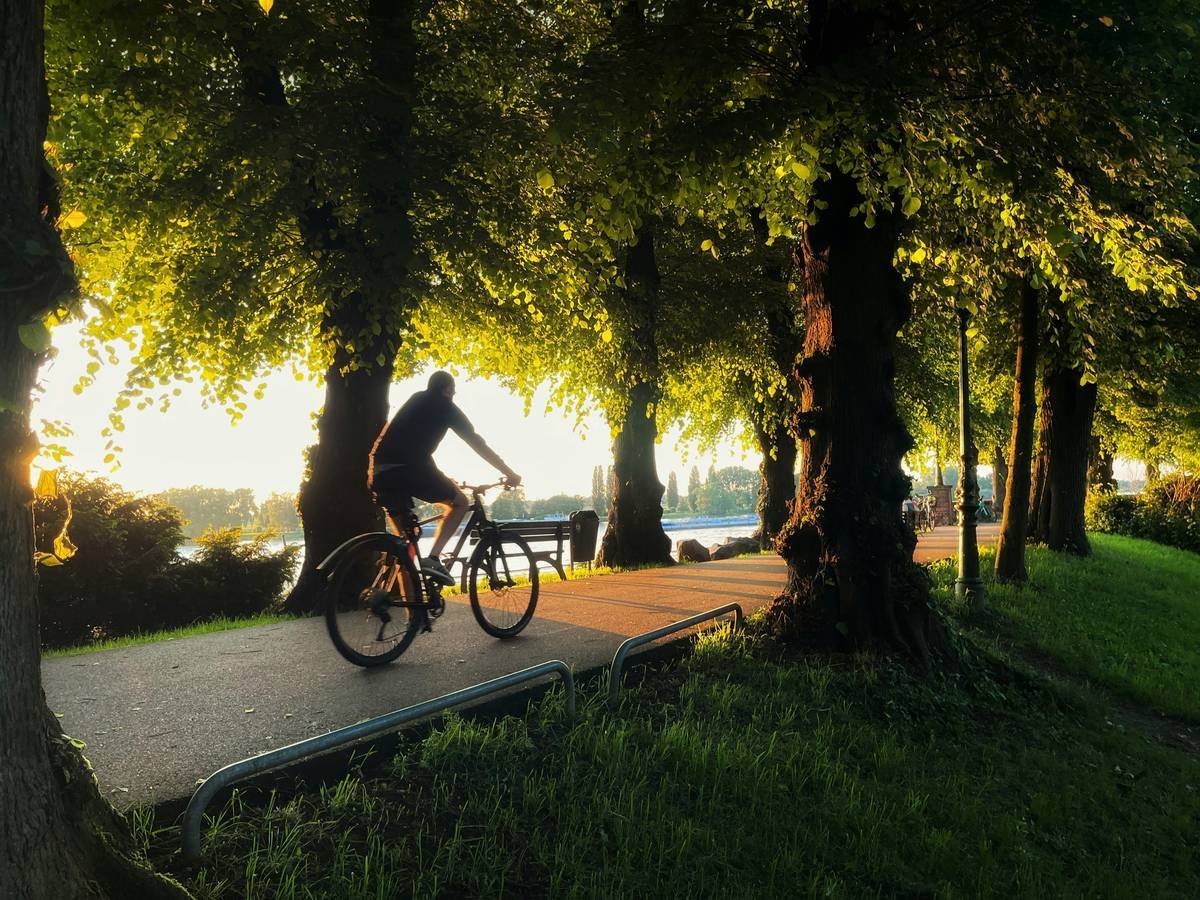 An infographic showing cycling benefits for weight loss including calorie burning stats