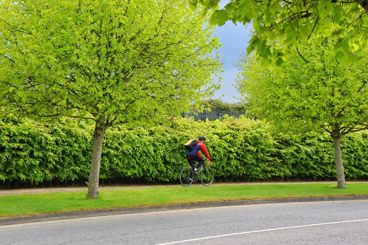 A frustrated cyclist checking their fitness tracker after a long ride