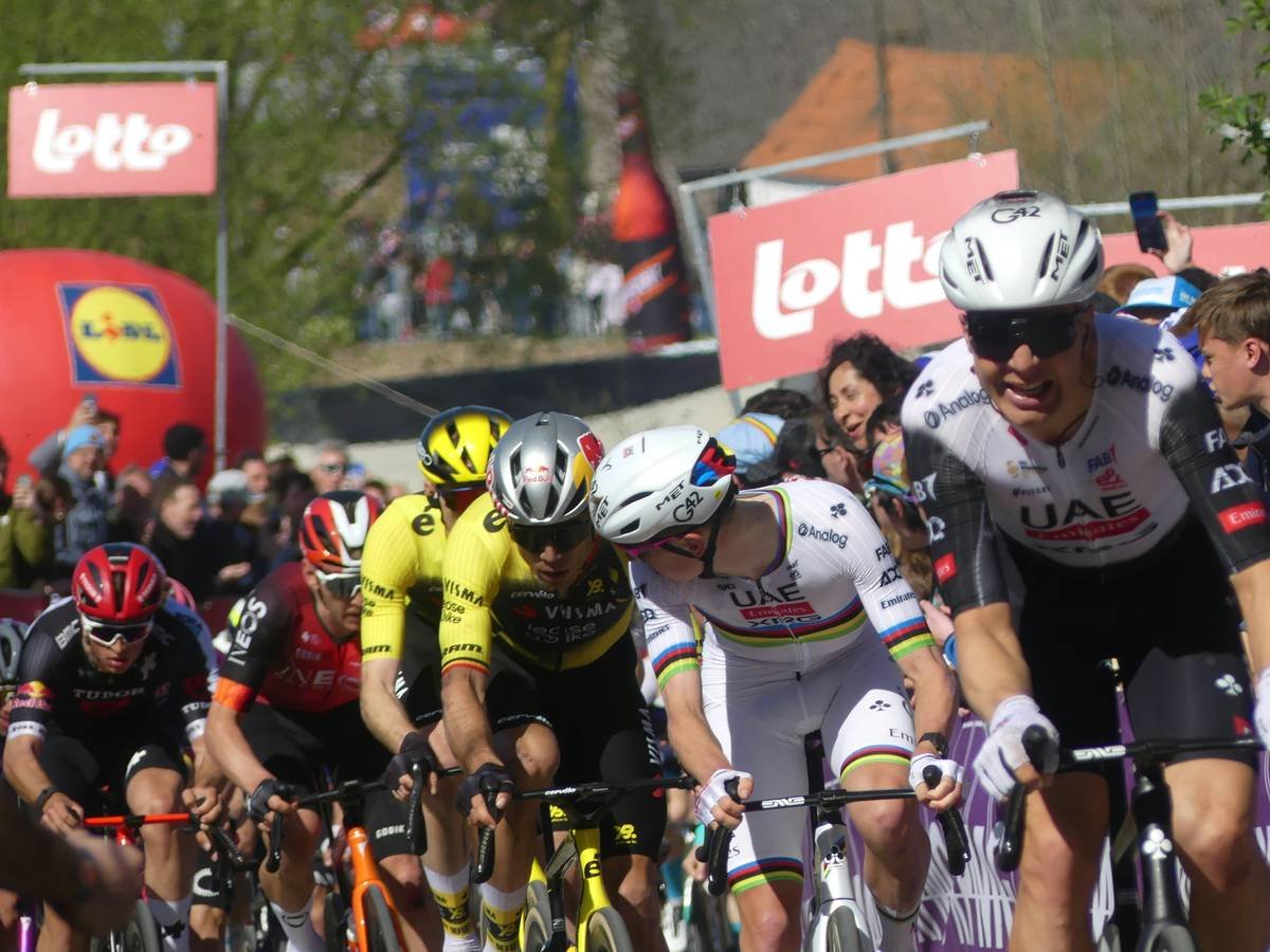 Diagram showing key muscle groups targeted by cycling: Quadriceps, Hamstrings, Glutes, Calves.