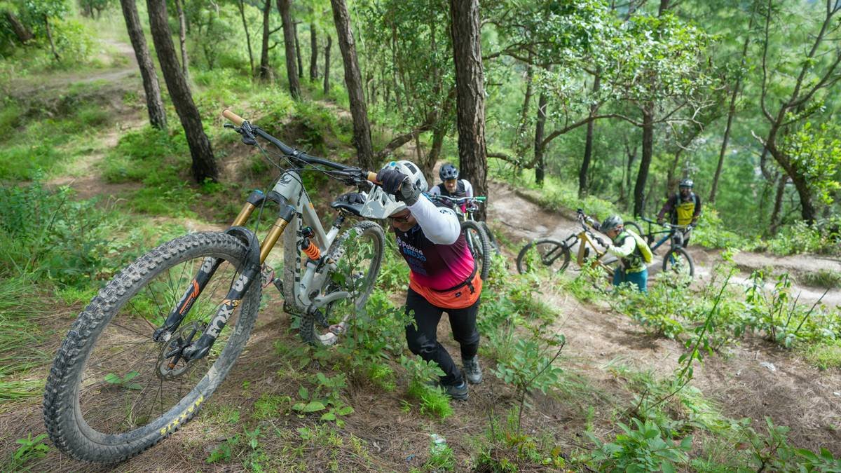 Cyclist riding uphill on a scenic road during sunset.