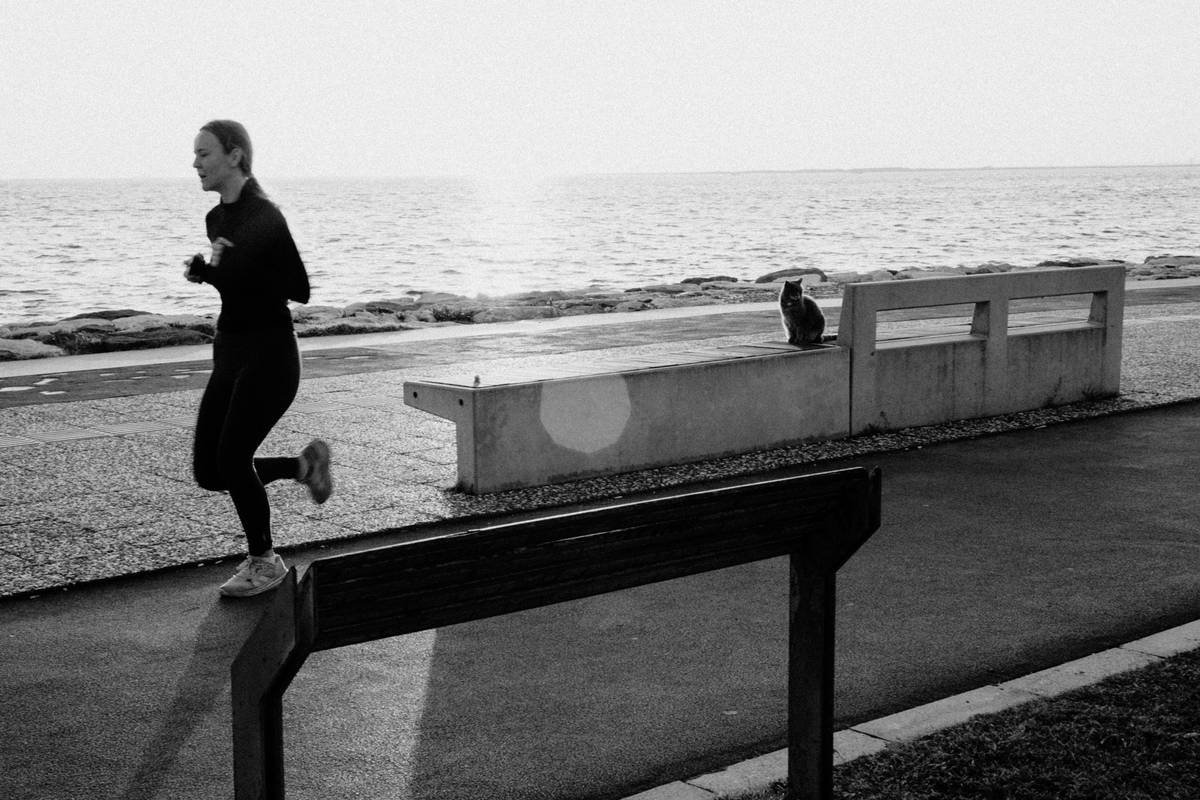 Chart showing fat-burning zones in cycle endurance training: Zone 1 (50-60% HRmax), Zone 2 (60-75% HRmax - peak fat oxidation), Zone 3+ (carb-dominant)