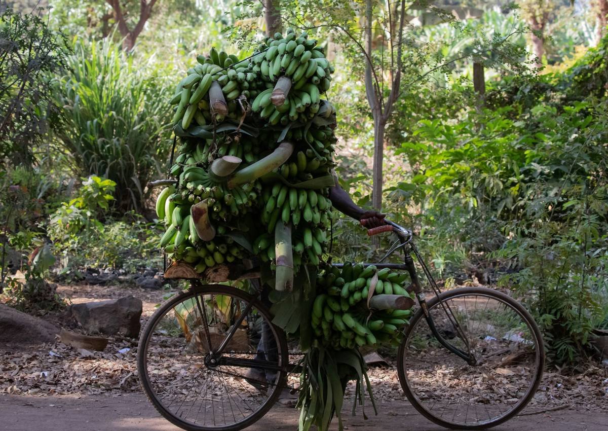 How to Master Bike Burn Cycling: How to Carb Like a Pro for Real Fat Loss
