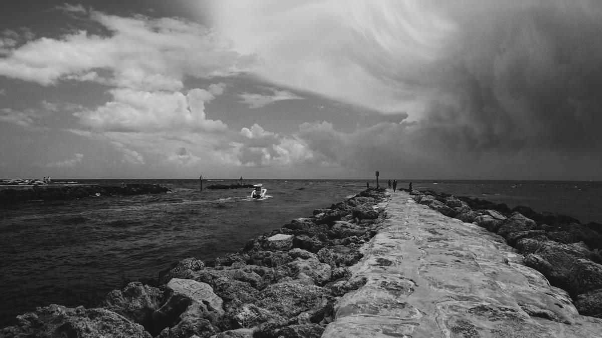 grayscale photography of dock